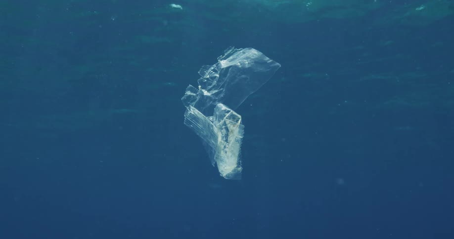 Plastic in the Ocean