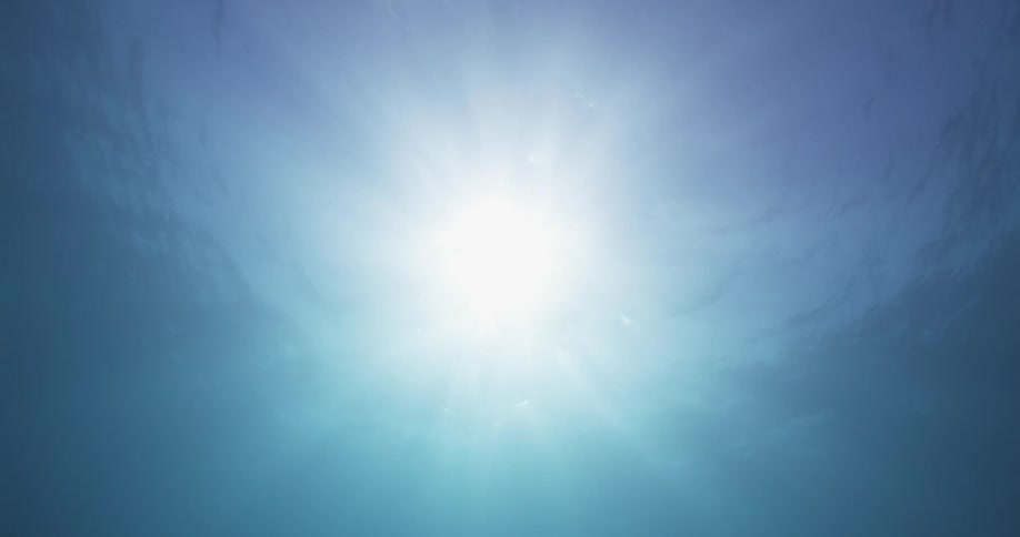 The bright sun shines through the surface of the water