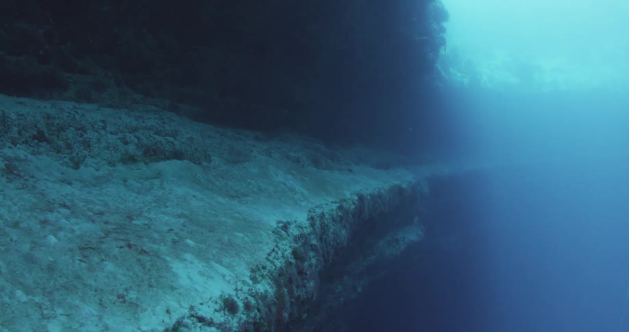 Fish swim above a large cavern at the bottom of the sea