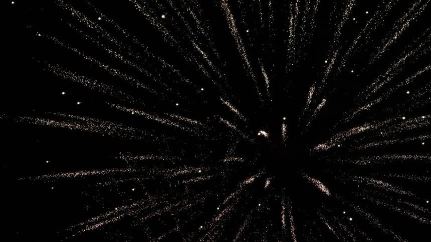 A large firework explodes in a dark night sky
