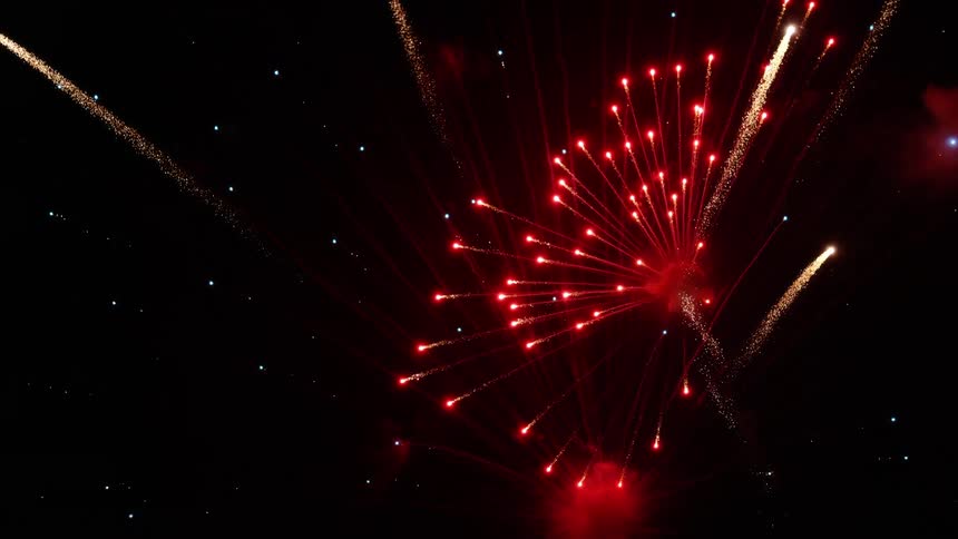 Fireworks exploding in the night sky