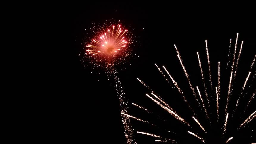 Fireworks exploding in the night sky