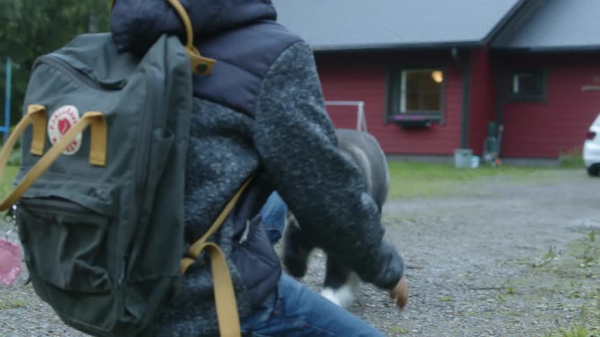 Dog runs down gravel driveway to greet crouching boy who then pets dog