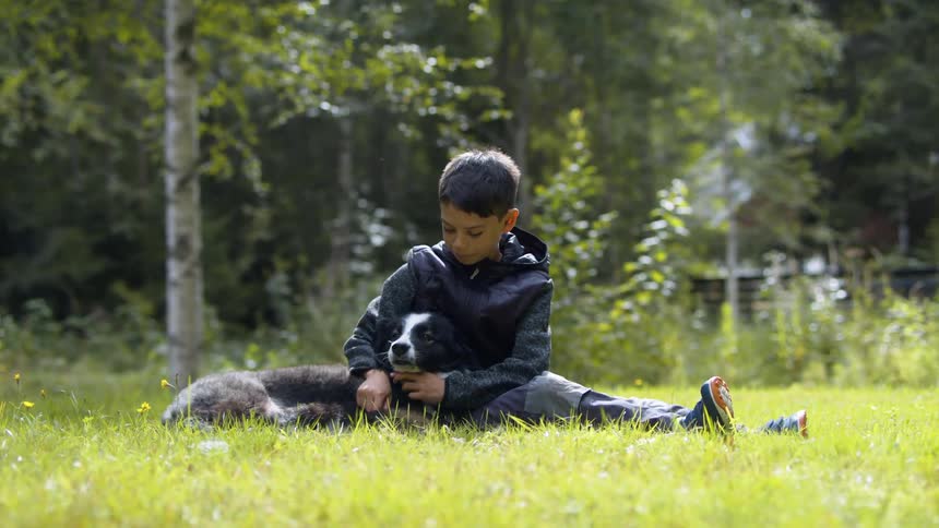 A boy sitting and playing with a dog with plants and trees in the background