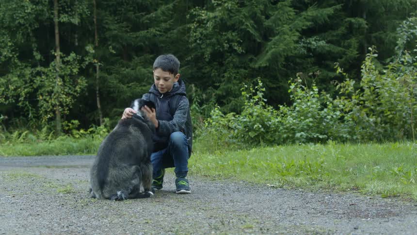 A boy wearing a coat is walking on a path with woods behind him as he bends down and calls a dog over and pets it
