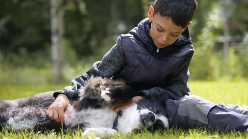 Young boy sitting next to his pet dog on the grass in the backyard