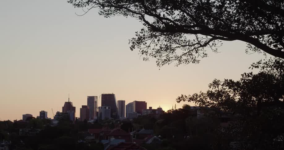 A city skyline looms over a neighborhood at dusk