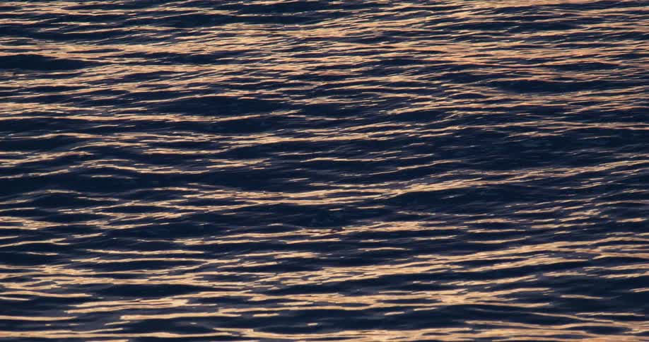 Waves roll through in choppy water