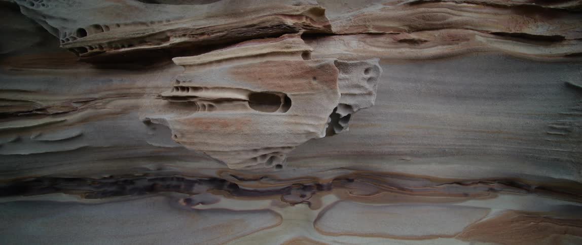 Close up of the holes and shapes on a piece of driftwood