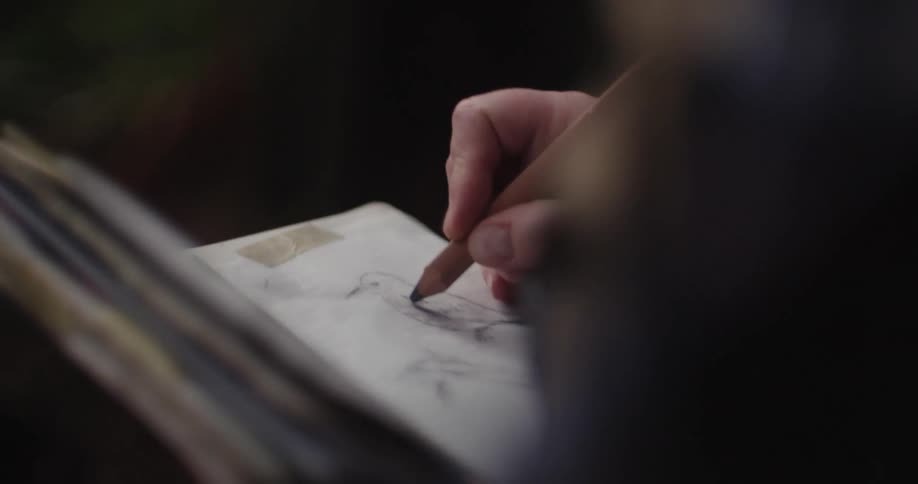 A person is drawing a bird in a notebook