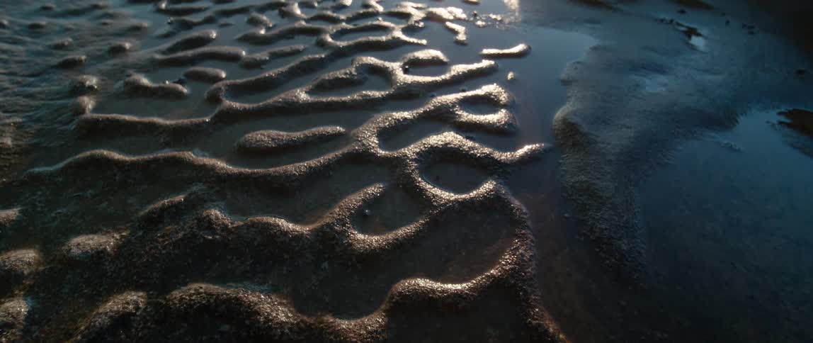 Sea water settles in between a ridged pattern on the beach