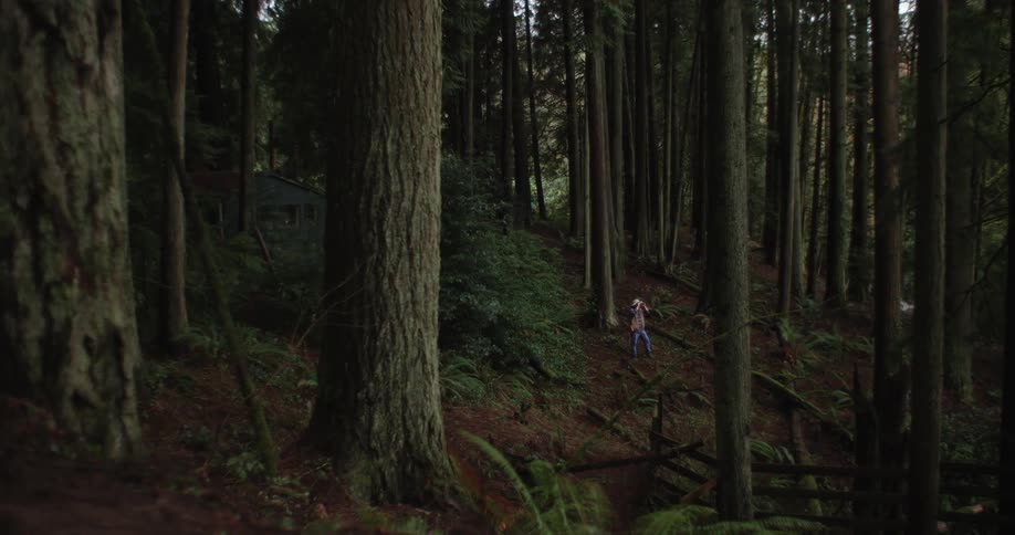 A person is hiking in the woods