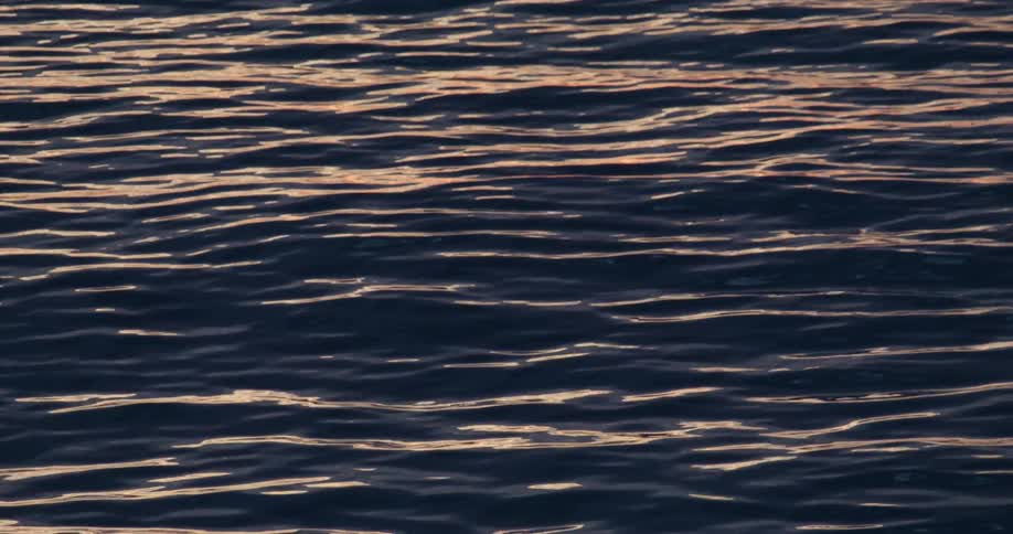 Sunlight shimmers on the surface of ocean waves and ripples