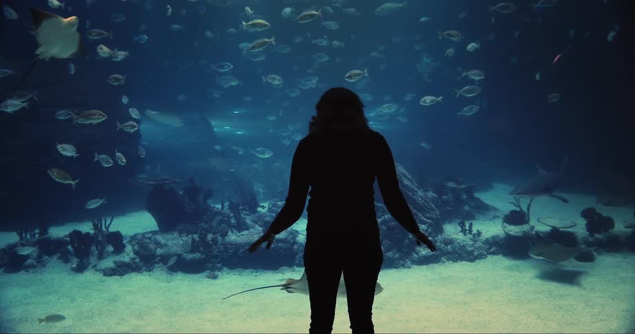 A woman is standing in front of a large public aquarium watching the sealife