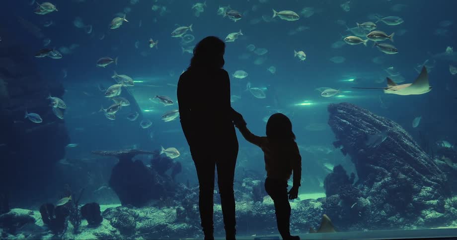 A mother and daughter looking at fish in an aquarium