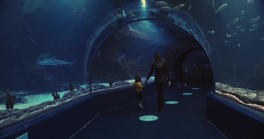 A mother and child walk through a tunnel in an aquarium