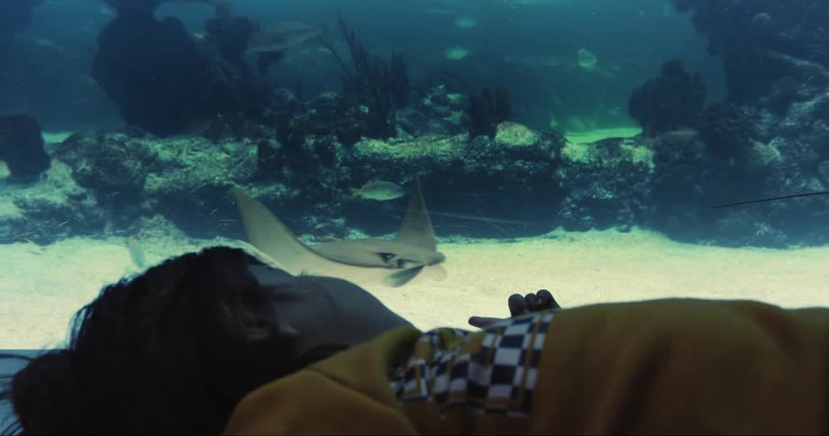 Boy lies on back next to aquarium watching stingrays swim near sandy bottom
