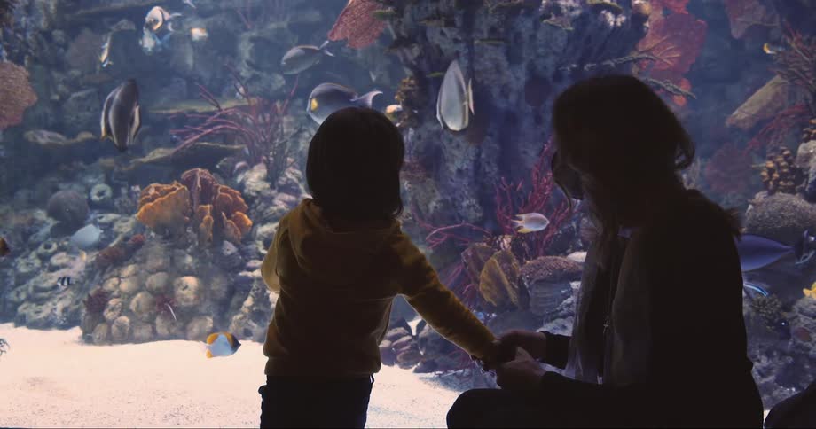 A woman and her child sit in a aquarium and watch the fish