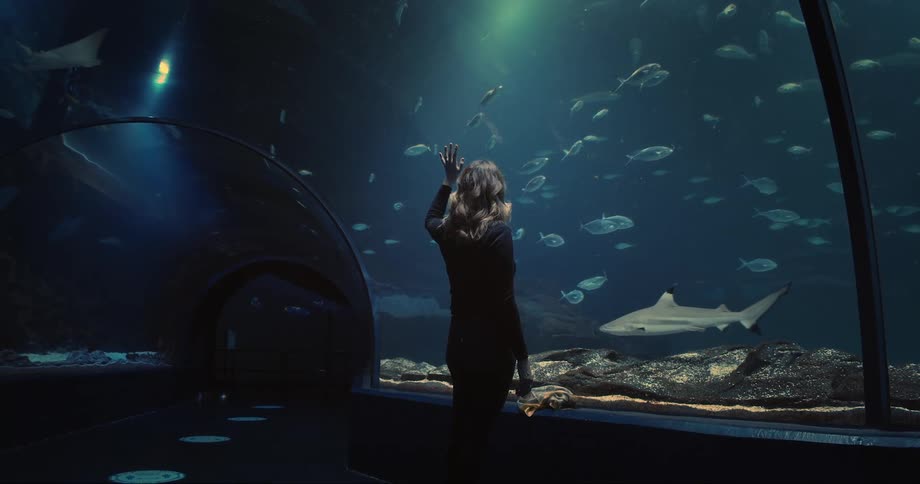 A woman in an aquarium tunnel with sharks and fishes