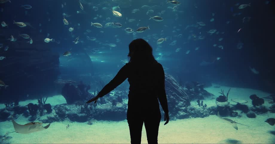 A woman reaches out toward fish and stingray swimming in a large aquarium