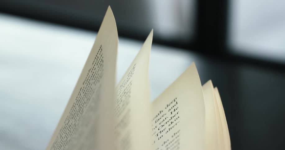 A close up view of text in a book