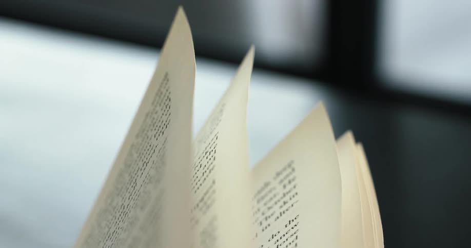 Close up of book pages