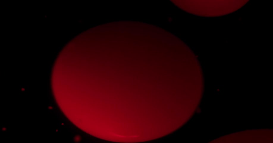 Abstract red spheres move down in the liquid