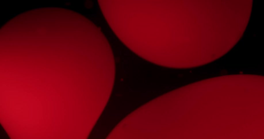 Dark red ink bubbles floating on liquid in front of black background