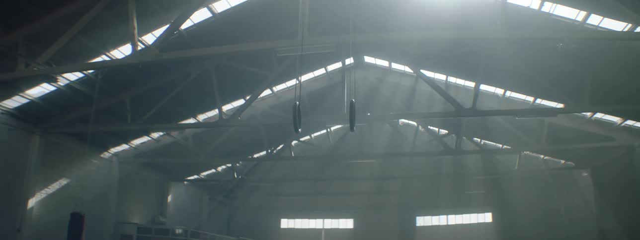 A view of rings hanging from the roof of a gym