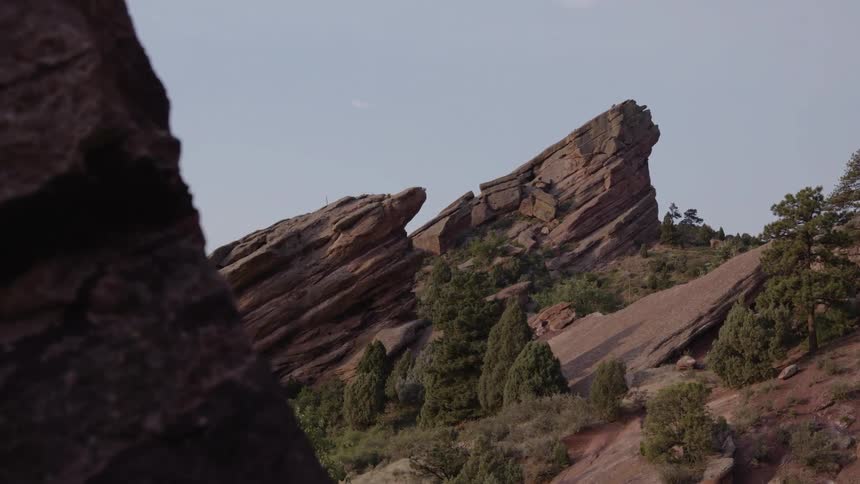 Fir trees grow between ridged surfaces at a canyon