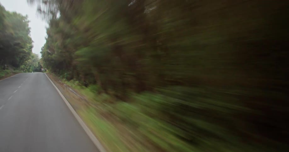 There is movement very rapidly down a road flanked by thick bushes and trees