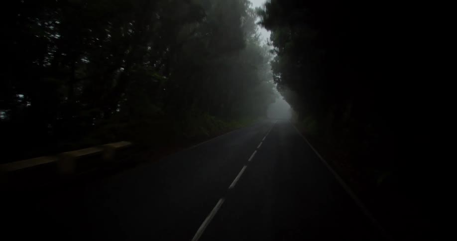 Traveling on a dark foggy forest road and going out of the woods