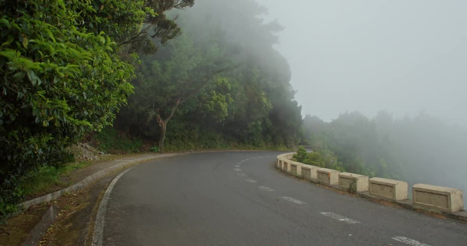 A road near a cliff with mist with trees the sky and clouds in the background