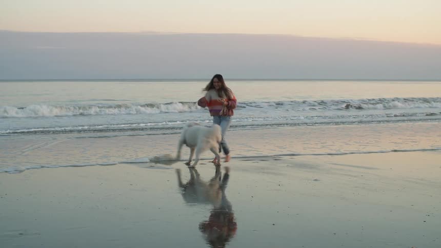 A barefoot young woman jogs along a beach with a dog in the evening