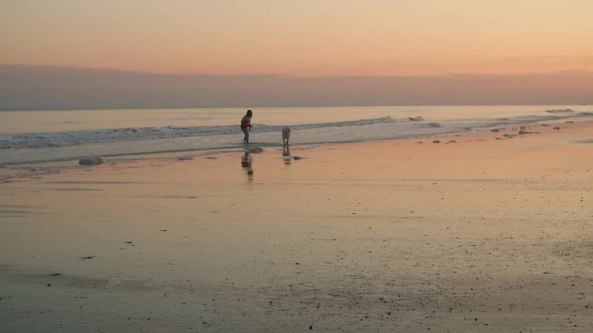 A girl is running and playing with her dog on an empty beach at dusk