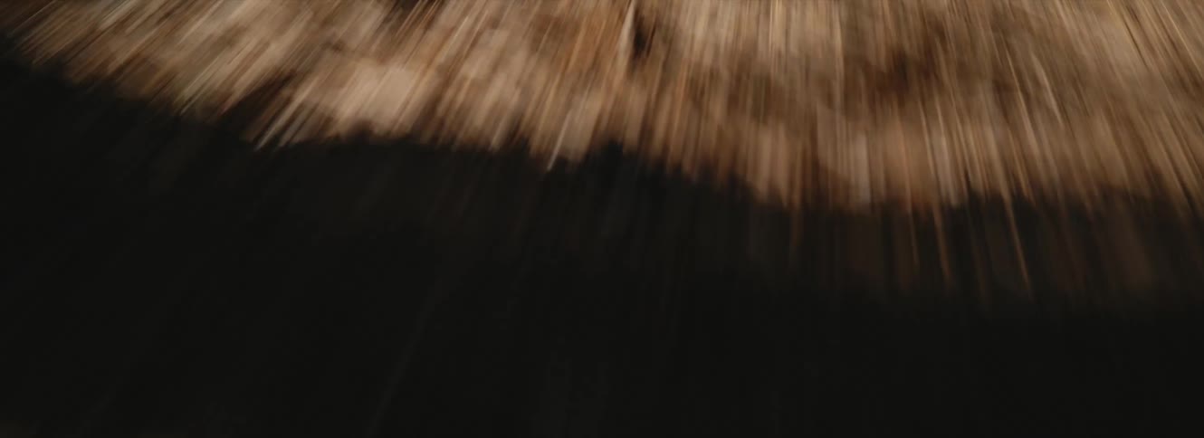 A close view of the ground while moving quickly during the door in the fall season