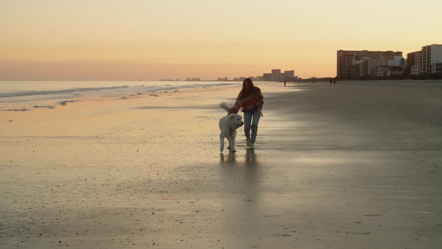 A woman on a beach with a dog with buildings the sky and clouds in the background