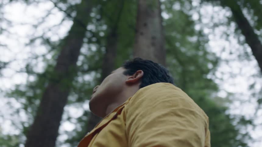 Man wearing yellow shirt standing on the forest looking up