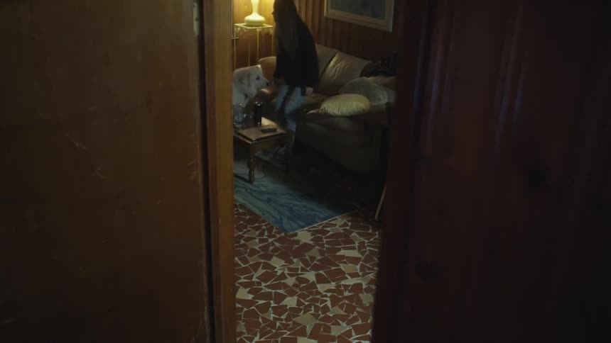 A woman walks to a sofa alongside a dog before sitting and petting the dog