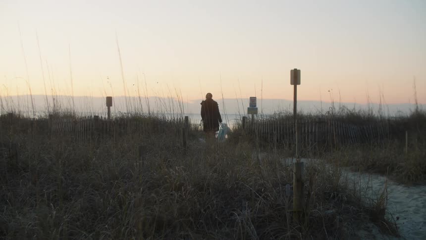 A woman is walking to the beach with her dog