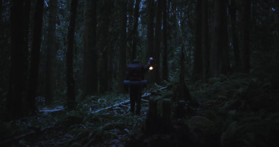 Woman standing on a forest at night raises an antique gas lamp