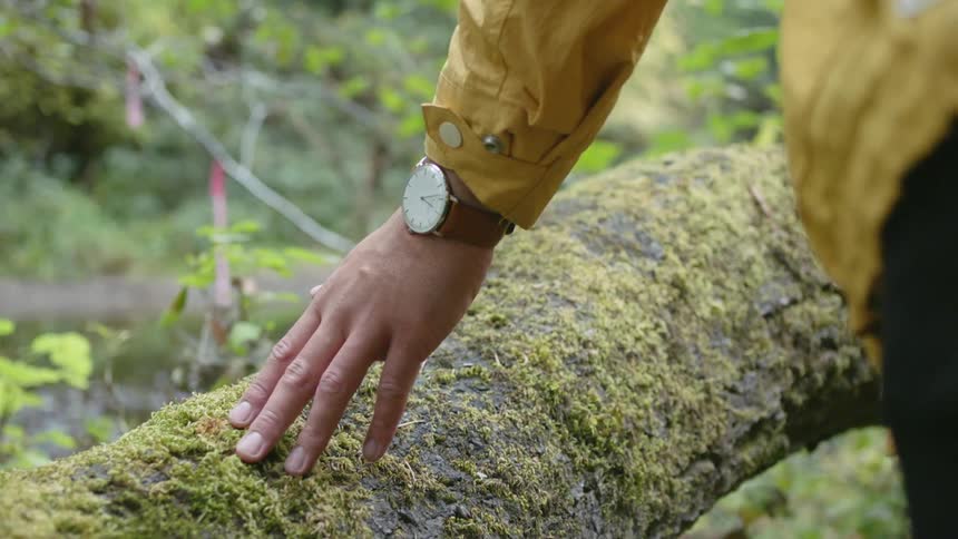 A person with a wristwatch and jacket walking and touching a tree branch