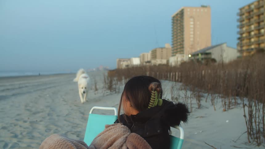 A woman sitting on a chair in a beach as a dog walks by with buildings the sky and clouds in the background