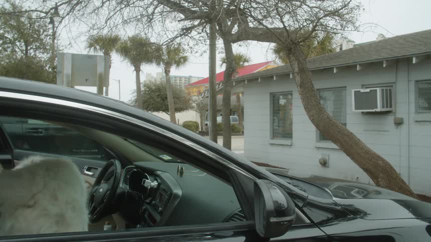 A dog waiting in a car wags its tail as a woman opens the door and gets in