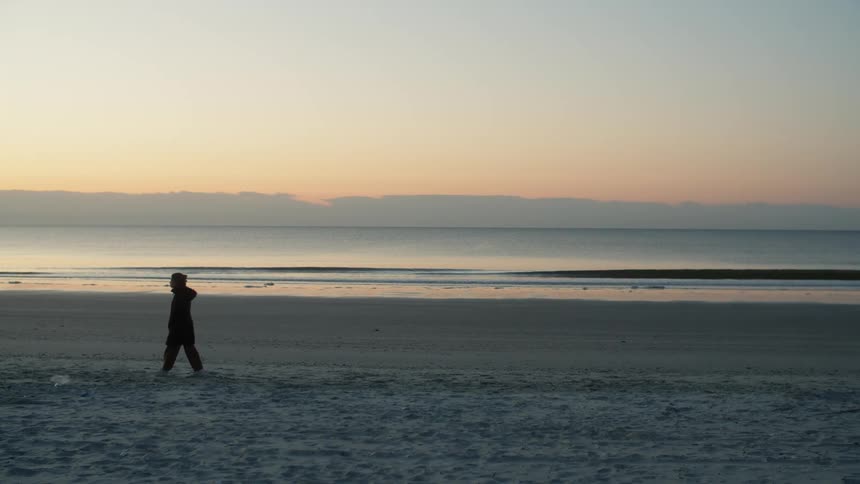 A woman is walking her white dog on the beach