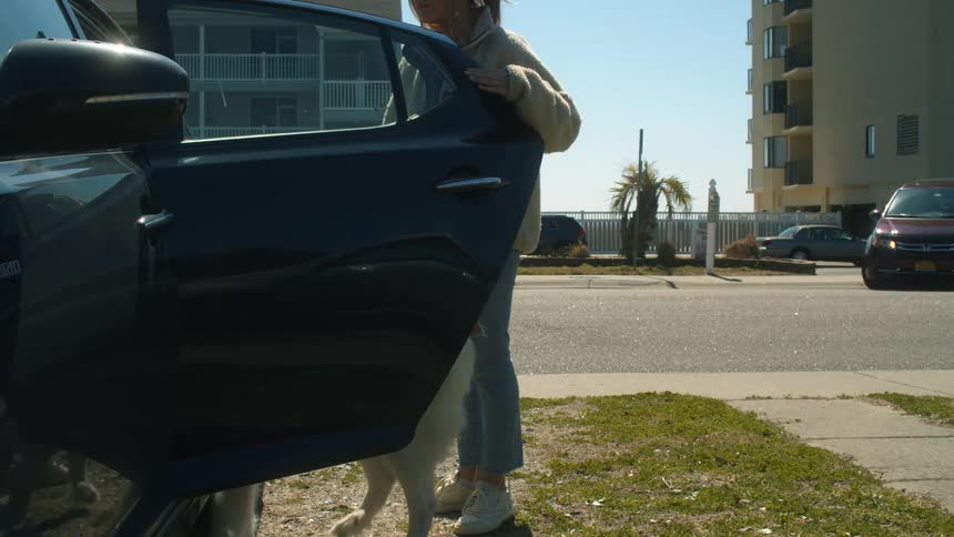 Woman opens the door for the dog to get into the cars and then enters on the drivers seat