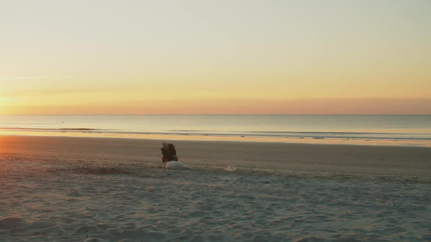 A person is playing with their dog at the beach