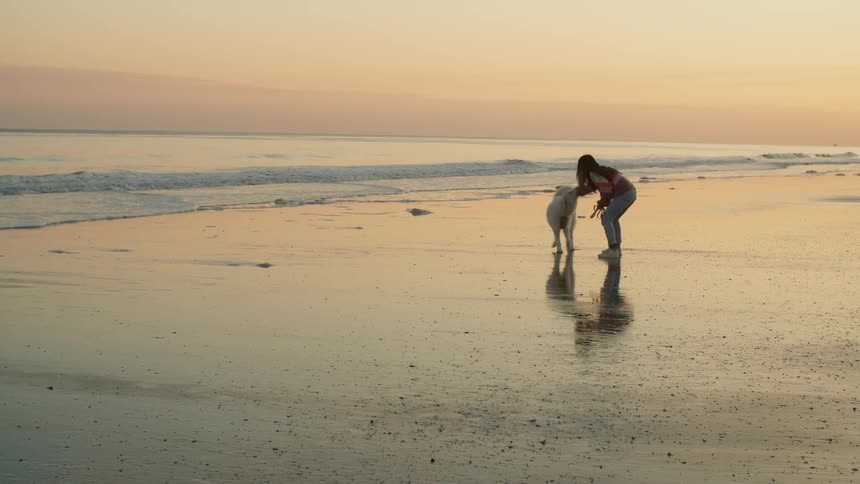 A woman playing with a dog on a beach with the ocean sky and clouds in the background