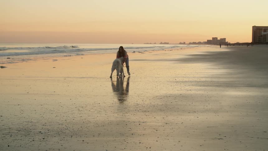 Young woman wearing a colorful sweater plays with a dog on the beach at sunset