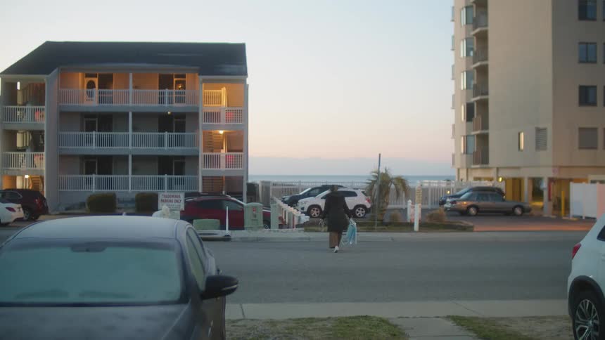 A woman crosses the street with her dog
